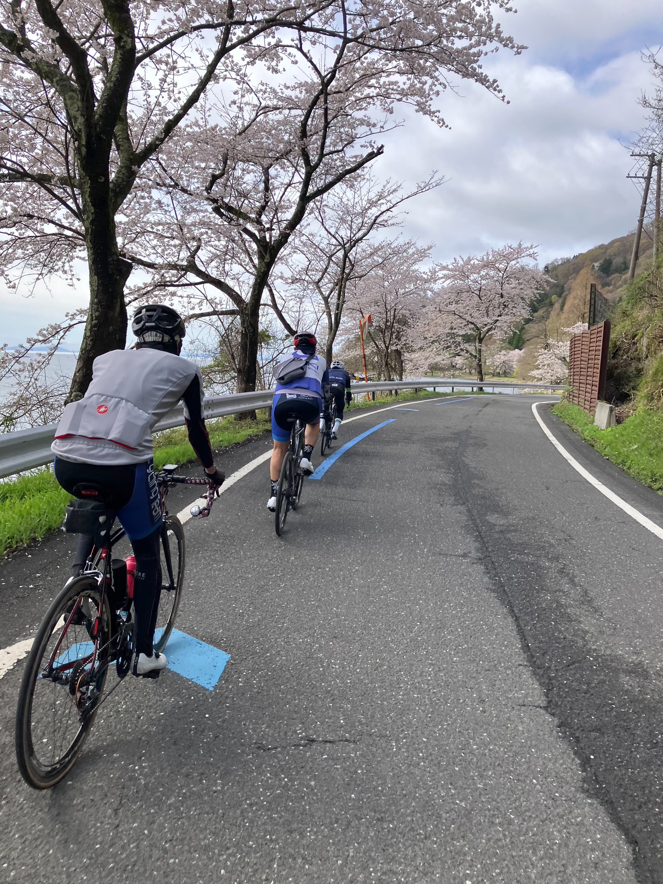 春の桜ビワイチ