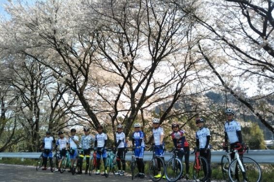 郡上八幡サイクリング