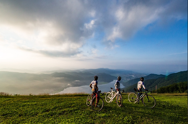海外向けサイト